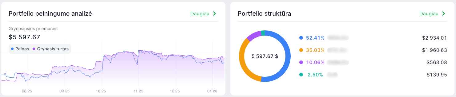 Portfelio pelningumo analizė ir struktūra