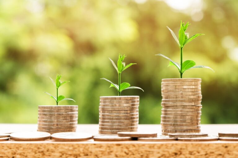 Monetų stulpeliai su augančiais augalais simbolizuoja investicijų ir pasyvių pajamų augimą.