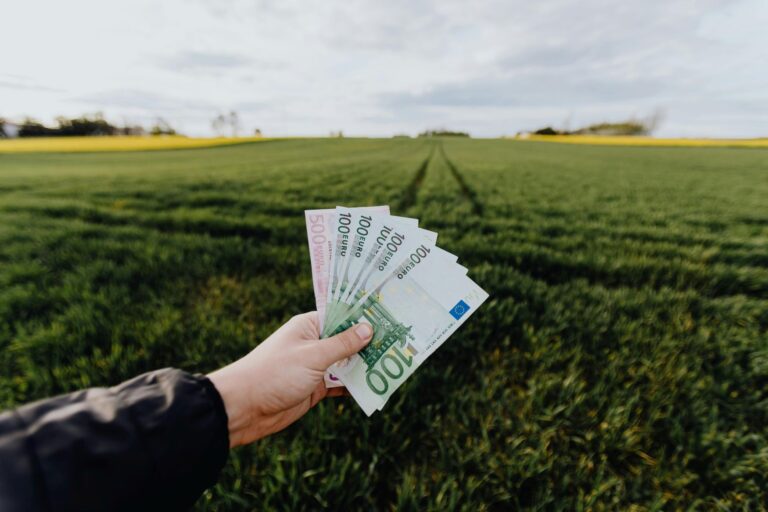 Eurų banknotai rankoje žalio lauko fone – asociacija su privačia paskola ir finansais.