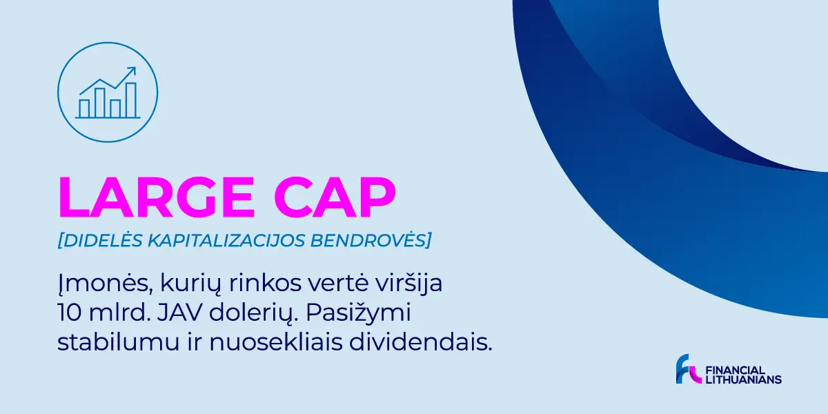Didelio kapitalizmo bendrovės(„Large Cap"): viskas, ką reikia žinoti